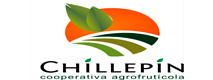 Chillepin