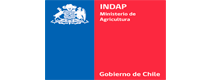 Indap